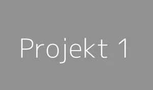 Projekt 1