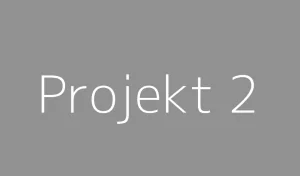 fff&text=Projekt 2