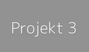 fff&text=Projekt 3